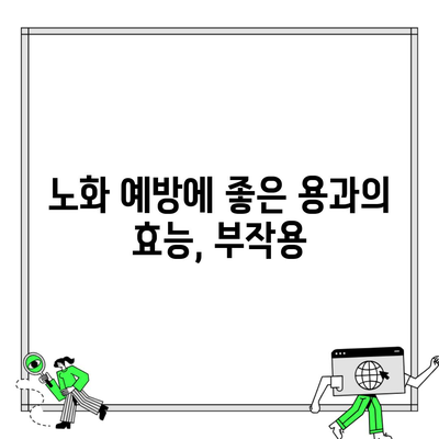 노화 예방에 좋은 용과의 효능, 부작용