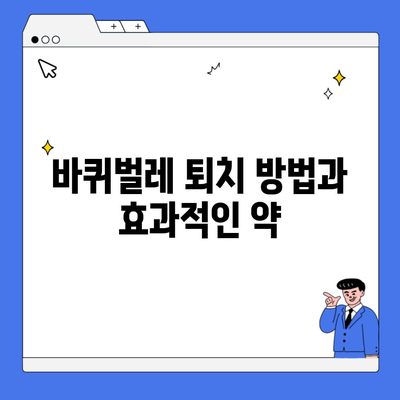 바퀴벌레 퇴치 방법과 효과적인 약