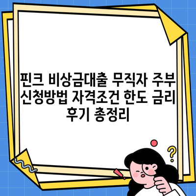 핀크 비상금대출 무직자 주부 신청방법 자격조건 한도 금리 후기 총정리