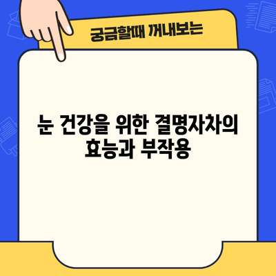 눈 건강을 위한 결명자차의 효능과 부작용