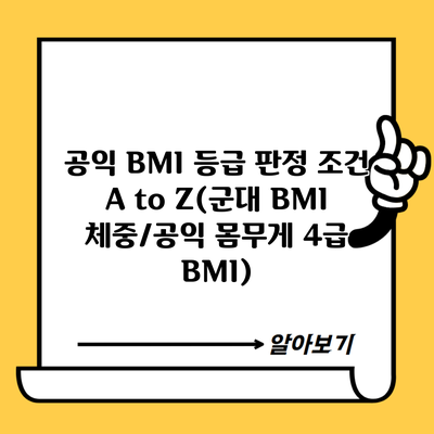 공익 BMI 등급 판정 조건 A to Z(군대 BMI 체중/공익 몸무게 4급 BMI)