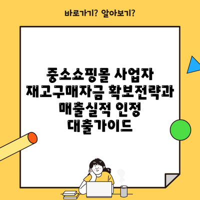 중소쇼핑몰 사업자 재고구매자금 확보전략과 매출실적 인정 대출가이드