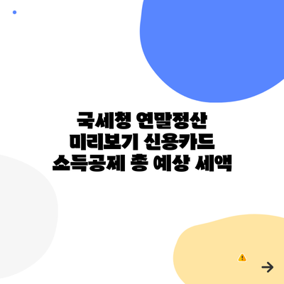 국세청 연말정산 미리보기 신용카드 소득공제 총 예상 세액