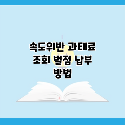 속도위반 과태료 조회 벌점 납부 방법