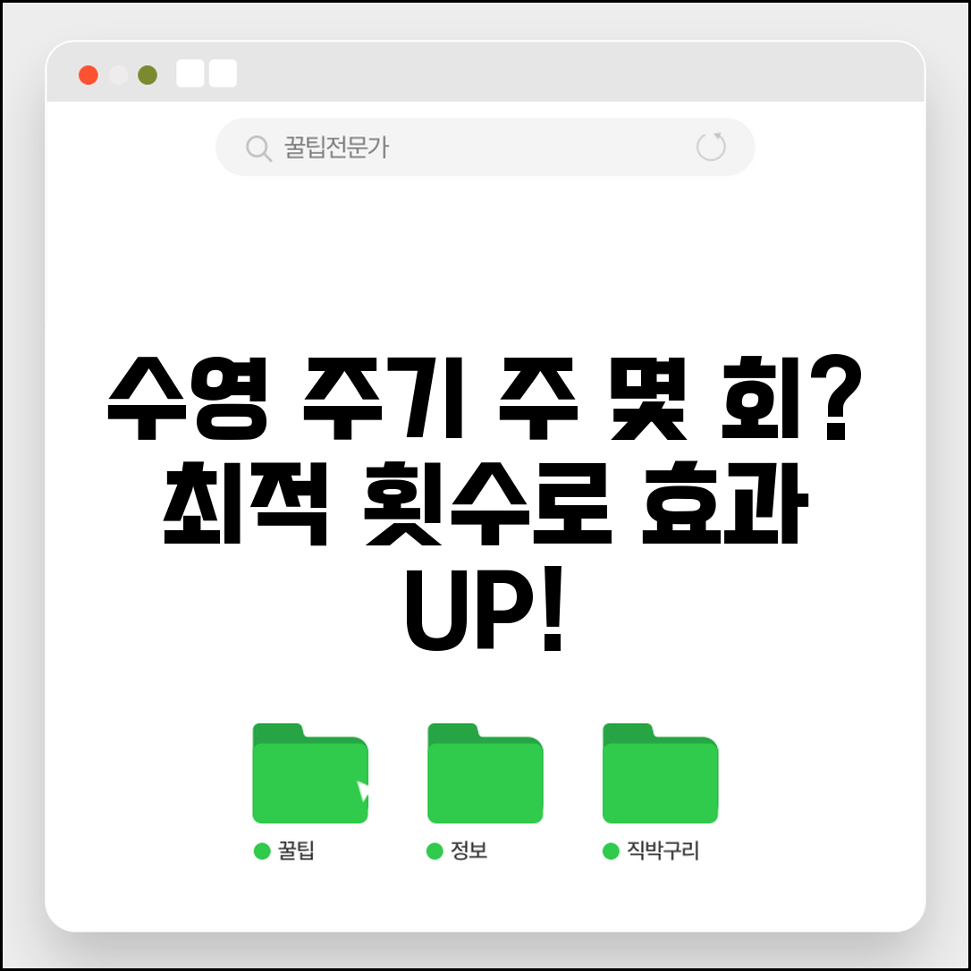 수영 운동 주기 주 몇 회 해야 | 수영 적정 횟수