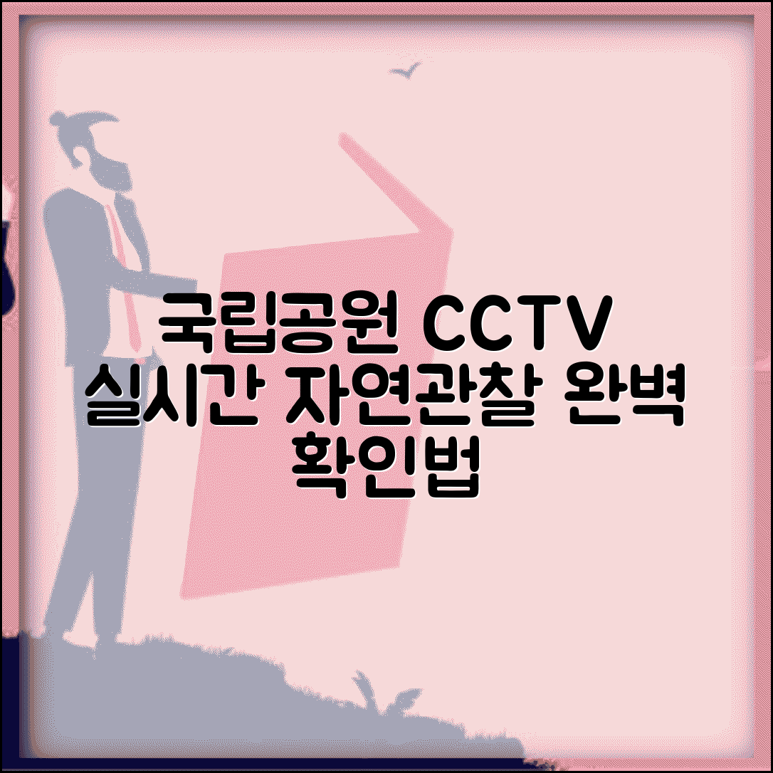 국립공원 실시간 cctv 자연관찰 | 국립공원 실시간 CCTV 완벽 확인법