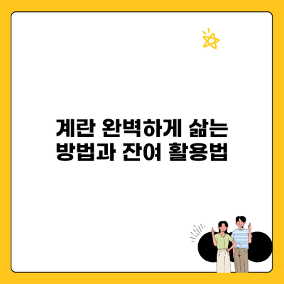 계란 완벽하게 삶는 방법과 잔여 활용법