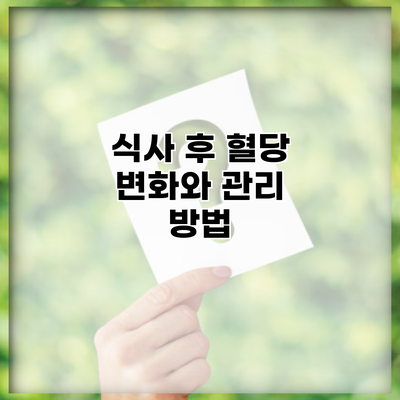 식사 후 혈당 변화와 관리 방법