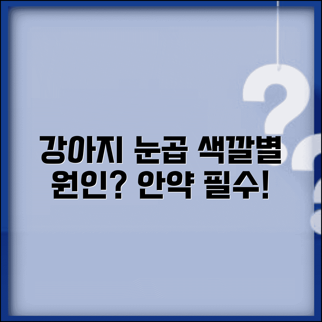 강아지 눈곱 많이 | 강아지 눈곱 색깔별 원인 안약