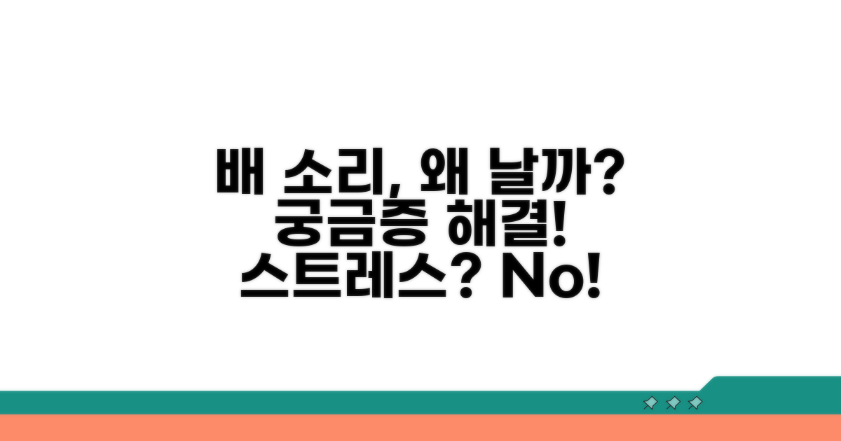 배에서 소리 나는 이유 파헤치기